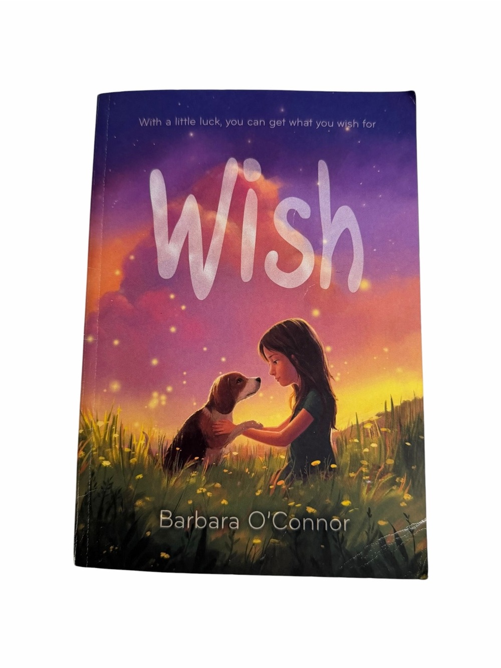 Wish Paperback Middle-Age Book by Barbara O’Connor 227 Pages